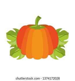 Pumpkin on leaves fresh vegetable