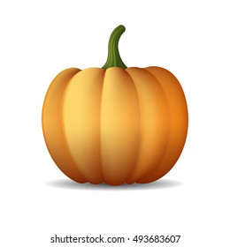 pumpkin on white