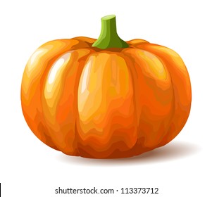 Pumpkin on white background