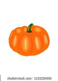 Pumpkin on white background