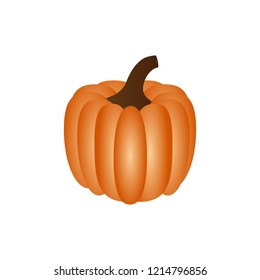 Pumpkin on white background