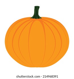 Pumpkin on white background 