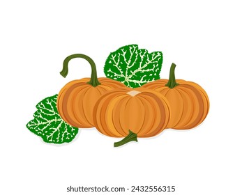 Calabaza sobre fondo blanco.