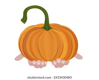 Pumpkin on a white background.
