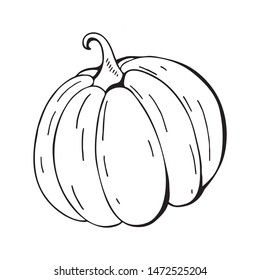 Pumpkin on a white background. Autumn Halloween or thanksgiving pumpkin, vegetable graphic icon or print. Monochrome line drawing. Isolated object on white background in vector. Black and white 