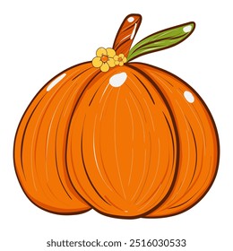 pumpkin on white background, beautiful hand drawn in vector file