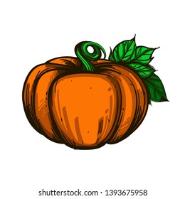 Pumpkin on a white background. Cartoon style.