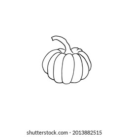 Pumpkin on a white background drawn in a vector