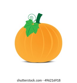 Pumpkin on white background illustrator vector design.