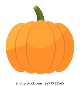 Pumpkin on white background, vector illustration