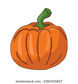 Pumpkin on white background. Vector illustration.