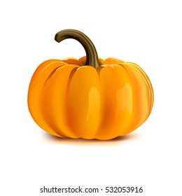 Pumpkin on white background. Vector illustration.