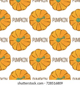 Pumpkin on white background. Wallpaper, seamless. Sketch
