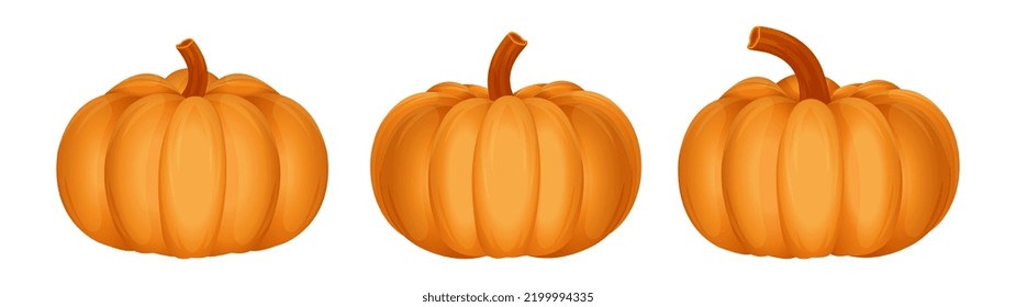 Pumpkin on white background for your design for the holiday Halloween thanksgiving. Vector illustration.