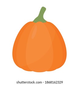 pumpkin of orange color with stalk vector illustration design