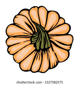 Pumpkin orange decorative sketch doodle isolated vector illustration for decoration and design