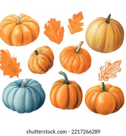 Pumpkin Orange pumpkin isolated on white. Autumn harvest. For Halloween and thanksgiving day design. Vector cartoon background