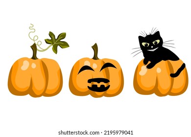 Pumpkin orange, muzzle on pumpkin for halloween. Black smiling cat.