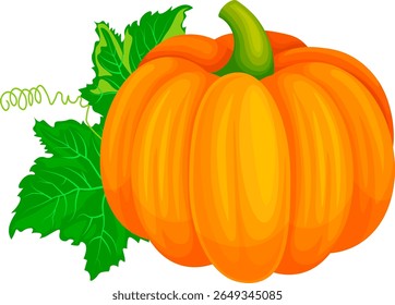 pumpkin orange no background vector