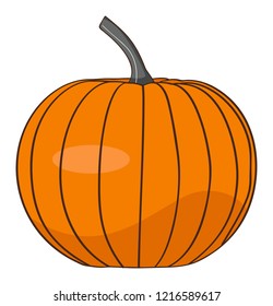Pumpkin, orange, white background