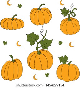 Pumpkin orange will help create a mood for the holiday of autumn. Vector hand draw  illustration set. Vector hand drawing.