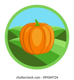  Pumpkin. Organic vegetables, round vector color badge or sticker