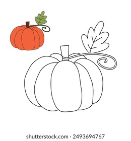 Pumpkin outline coloring page kids book vector Illustration. Halloween pumpkin outline isolated on white background. Hand drawn pumpkin. Autumn harvest. Sketch of a pumpkin. Vegetable doodle.