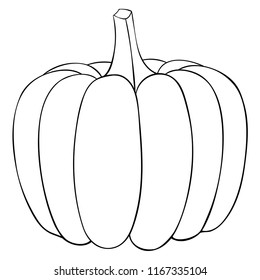 Pumpkin. Outline doodle. Vector illustration isolated on white background