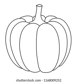 Pumpkin. Outline doodle. Vector illustration isolated on white background