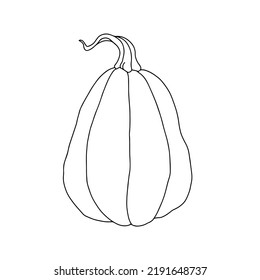 Pumpkin, outline drawing with a black line. Harvest.