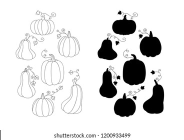 Pumpkin outline drawing and silhouette. Pumpkin coloring page. Vector pumpkin set. Black and white hand drawn illustration.