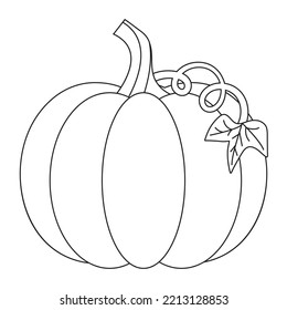 Pumpkin Outline Icon With Single Vine and Leaf Shape