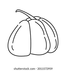 pumpkin outline isolated on white background. autumn season