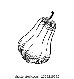Pumpkin outline on white background. Hand-drawn sketch. Vector illustration clipart.