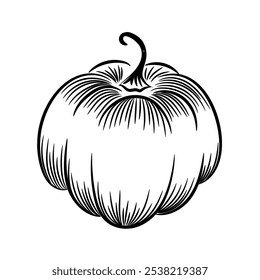 Contorno de abóbora sobre fundo branco. Esboço desenhado à mão. Clipart de ilustração de vetor.