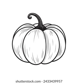 pumpkin outline vector illustration, coloring page.