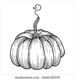 Pumpkin outline. Vector illustration of vegetable, berry. Simple black graphic, hand drawn in doodle style. Clip art of linear drawing. Rural autumn berry for  farming, harvesting. Thanksgiving day.
