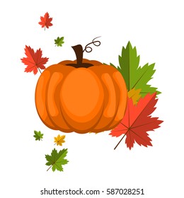 Pumpkin over white background harvest season garden stem holiday nature vegetable decoration. Halloween autumn orange food ripe october decorative fresh food vector illustration.