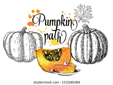 Pumpkin patch. Calligraphy card, sign. Pumpkin pie, traditional American Thanksgiving Day dessert.  Fresh pumpkin patch poster design.