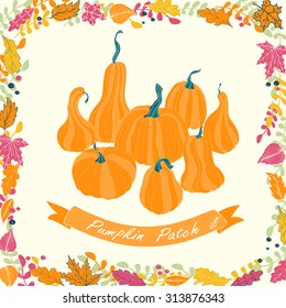 Pumpkin patch card design. Vector illustration of pumpkin with flowers and ribbon.