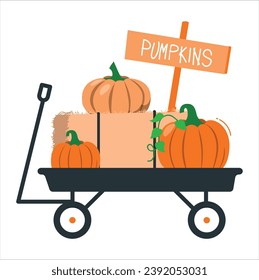 Pumpkin patch on sunny Autumn day. Cute Pumpkin Patch card with bright bunting flags in traditional autumn colors and different pumpkins in wheelbarrow. Selecting pumpkin from pumpkin patch. 2474