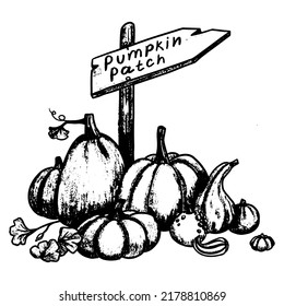Pumpkin patch with sign. Hand drawn pumpkins for Halloween holiday. Vector Silhouette illustration in outline style.