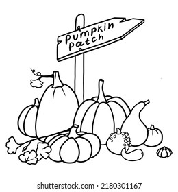 Pumpkin patch with sign. Hand drawn pumpkins for Halloween holiday. Vector illustration in outline style.