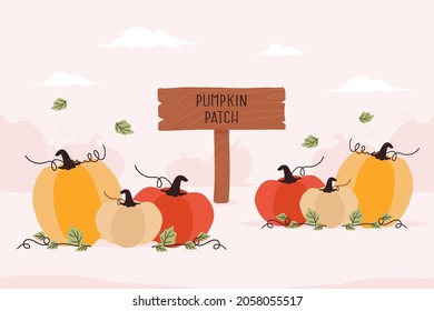 Pumpkin patch sign and orange pumpkins in the field during harvest time in fall. Vector illustration.