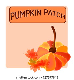 Pumpkin patch  Single