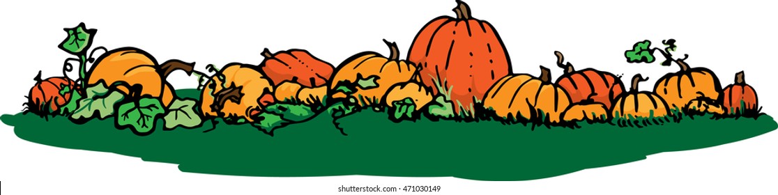 Pumpkin Patch Vector Illustration On A White Background