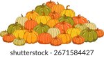 Pumpkin patch vector set. Bunch of autumn pumpkins. Hand drawn pumpkin squash in different colors and shapes.