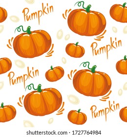 Pumpkin pattern for fabric design. Background pumpkin. Autumn vegetable pattern