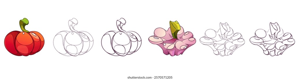 Pumpkin and Pattypan. Fruits of yellow pumpkin flat outline drawing. Vector cartoon illustration on white background. Cartoon drawing of pumpkin edible plants. Fruits of autumn season different variet