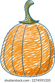 Pumpkin pencil colour sketch simple style illustration